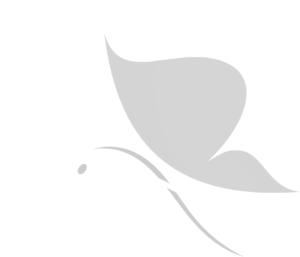 Tita Edu