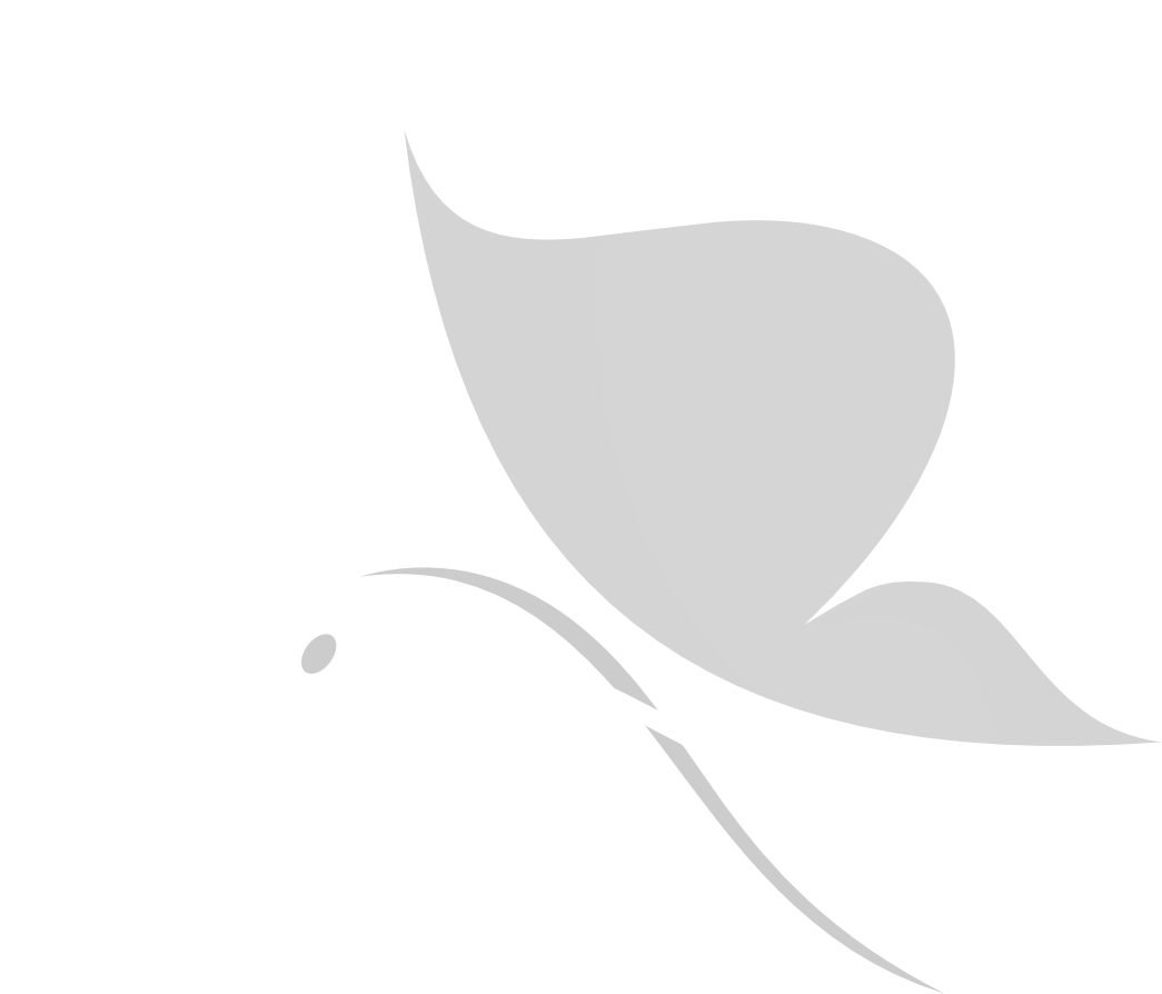 Tita Edu